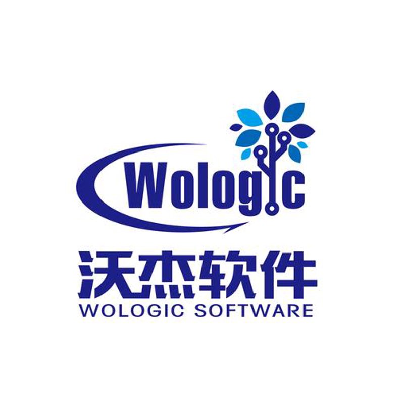 定制化企业软件：开启智能化管理新纪元